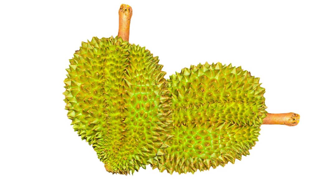 20 world's most expensive and rare fruits 