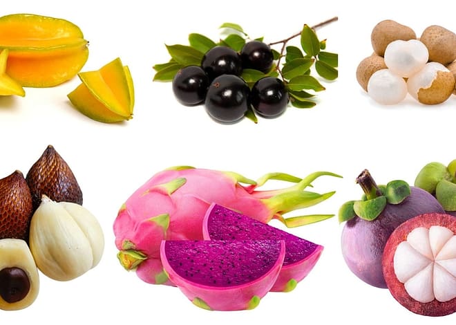20 world’s most expensive and rare fruits